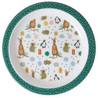 Green Party Animal Print Kids Melamine Plate Rice DK